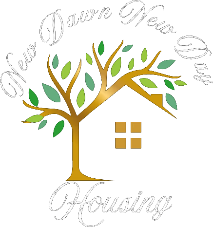 New Dawn New Day logo