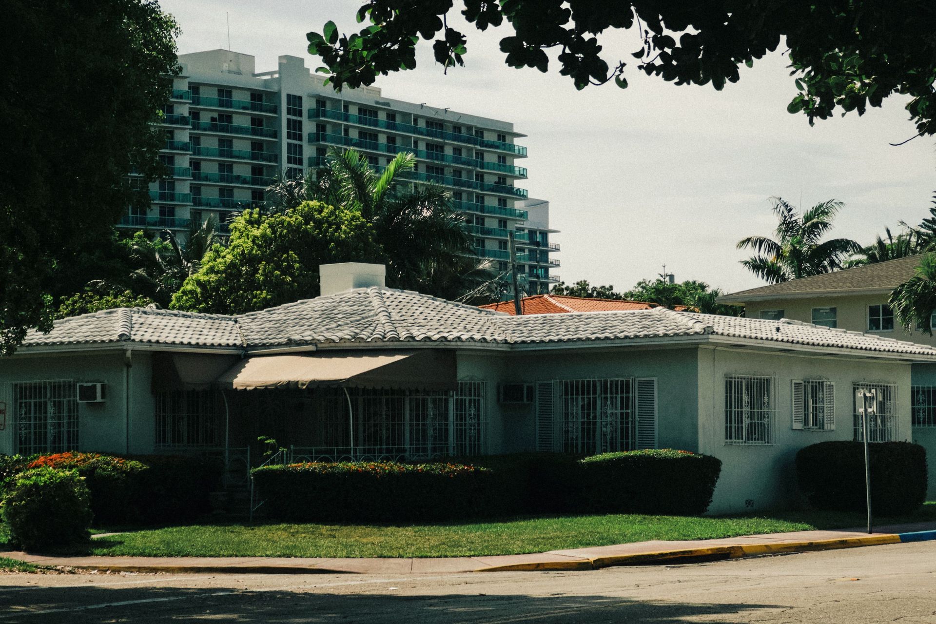 Suburban house with lush greenery and a modern high-rise in the background.